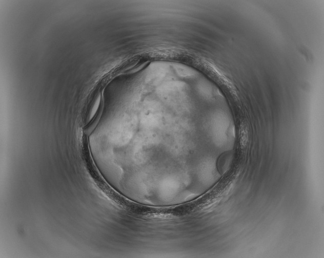 X0000111030637200907161325