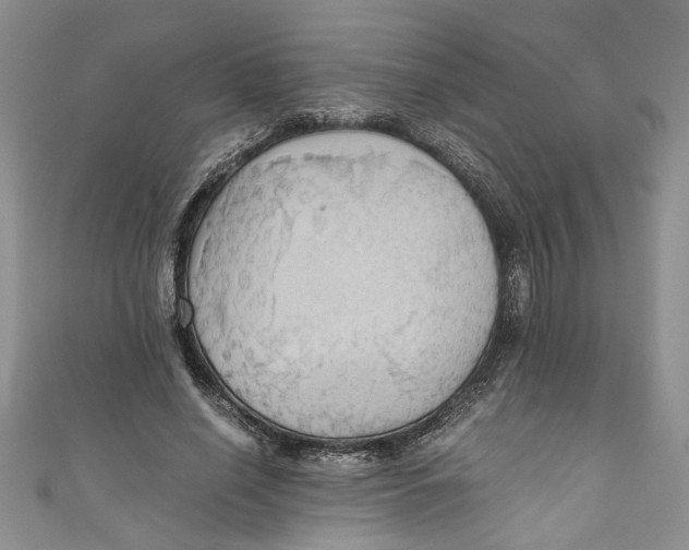 X0000111030638200907161325