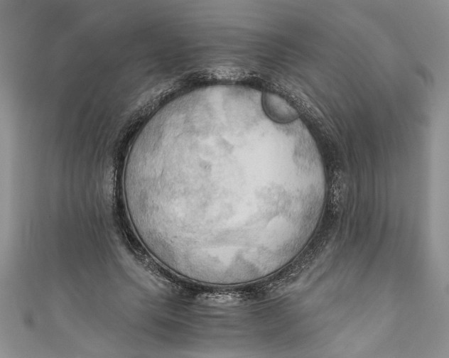 X0000111030639200907161325