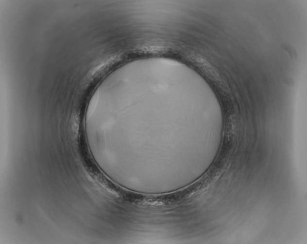 X0000111030640200907161325