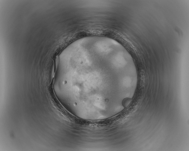 X0000111030641200907161325