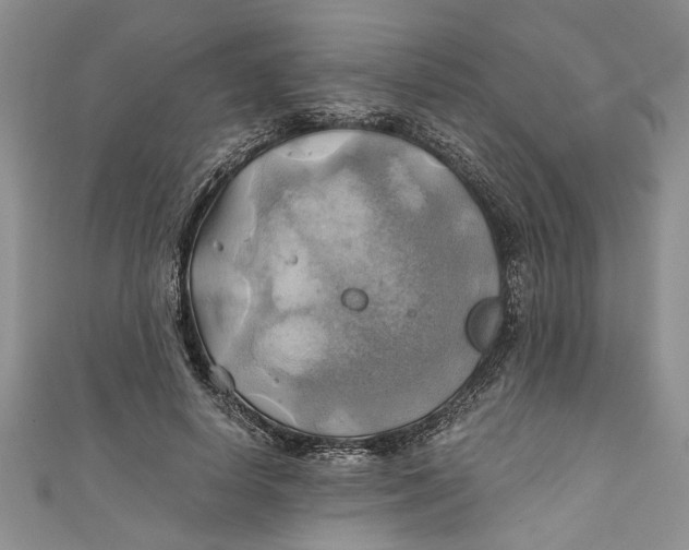 X0000111030642200907161325