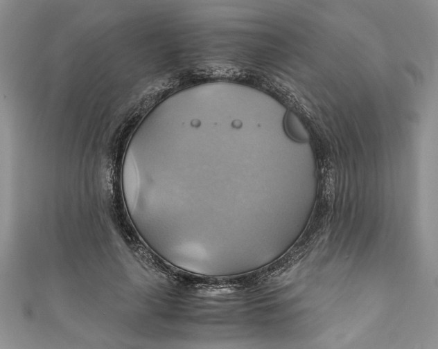 X0000111030643200907161325