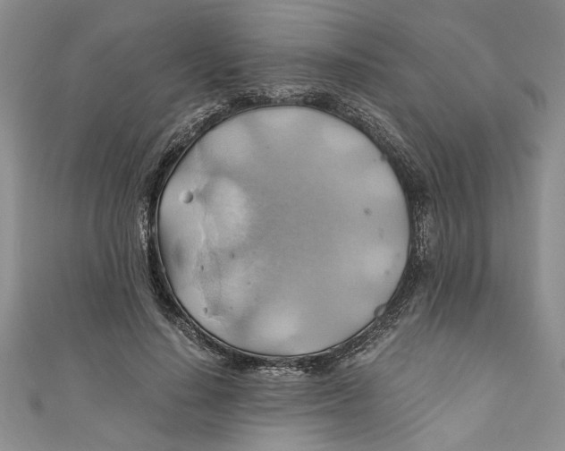 X0000111030644200907161325