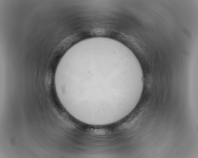 X0000111030645200907161325