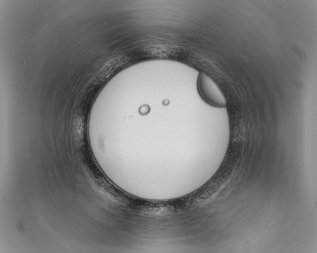 X0000111030646200907161325