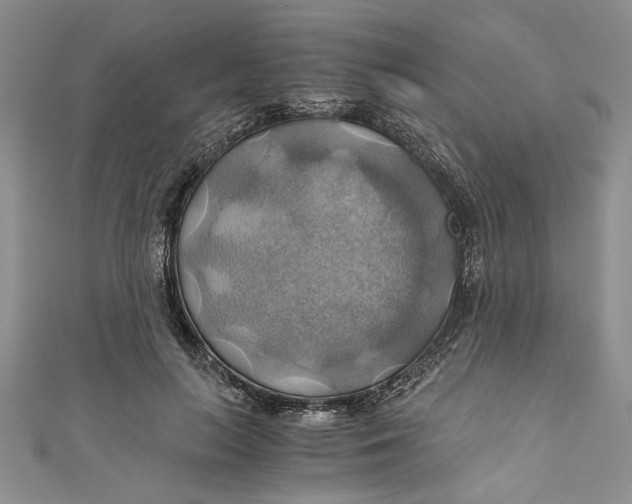 X0000111030647200907161325