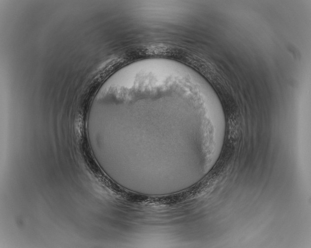 X0000111030648200907161325