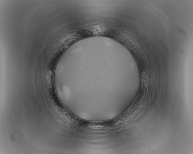 X0000111030650200907161325