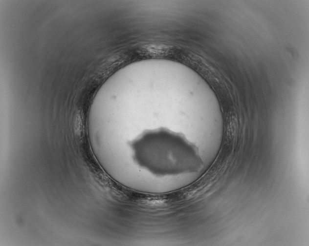 X0000111030651200907161325