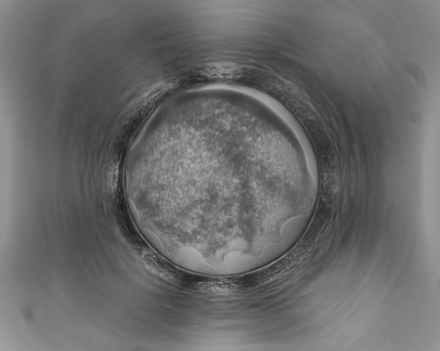 X0000111030652200907161325