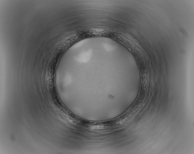 X0000111030653200907161326