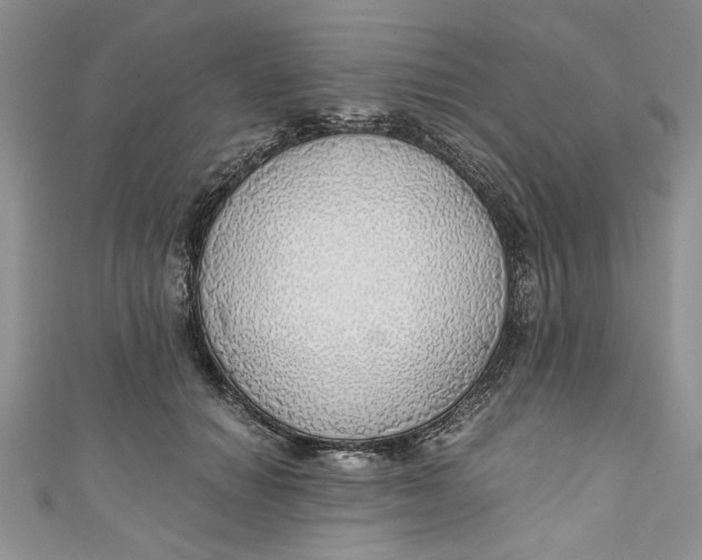 X0000111030654200907161326