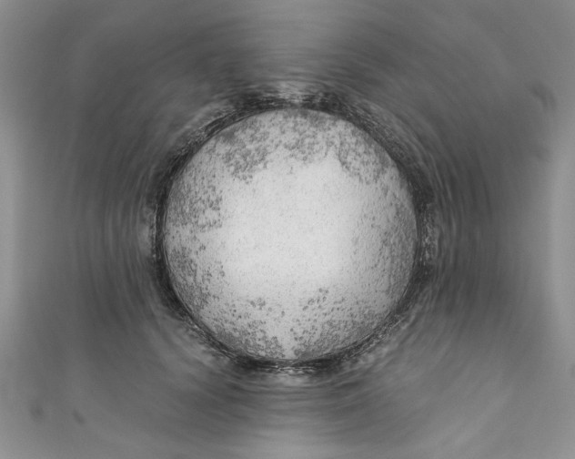 X0000111030656200907161326