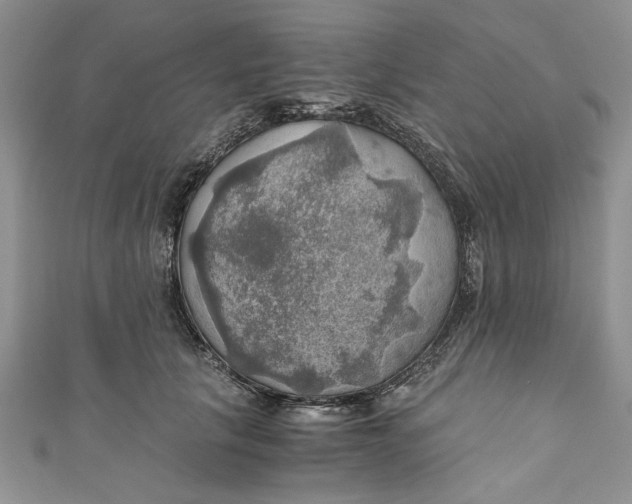 X0000111030657200907161326