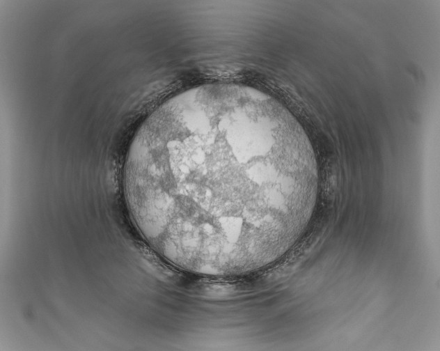 X0000111030658200907161326