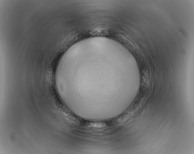 X0000111030659200907161326