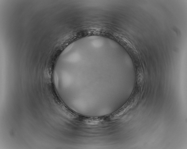 X0000111030661200907161326