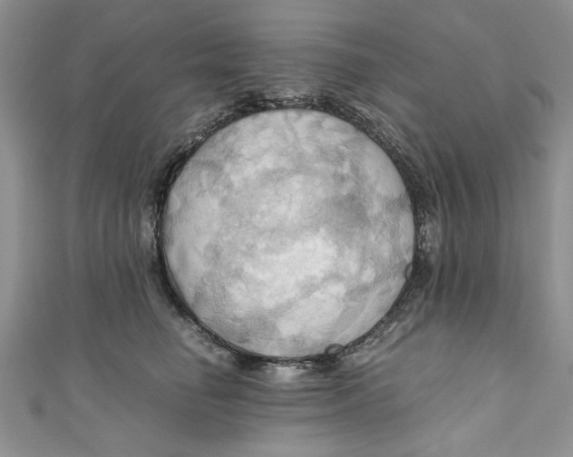 X0000111030662200907161326