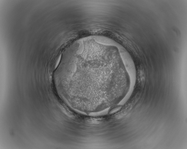 X0000111030664200907161326