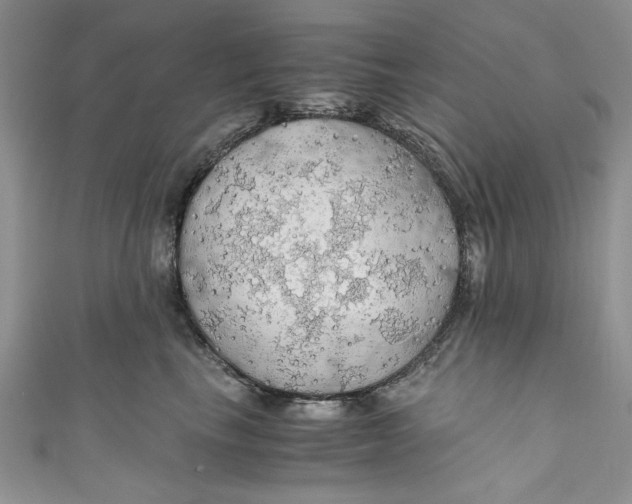 X0000111030665200907161326