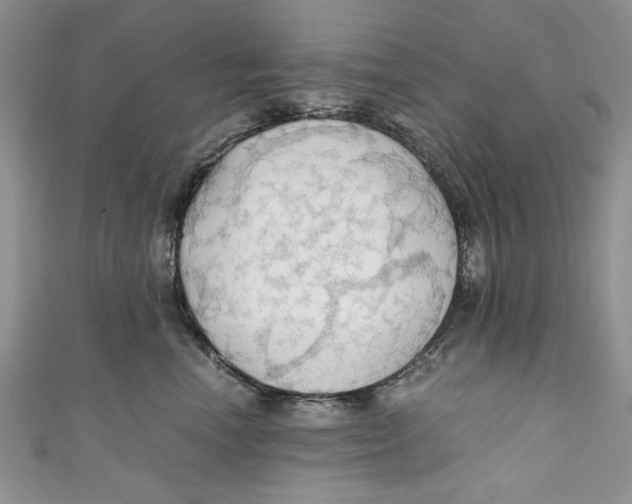 X0000111030666200907161326