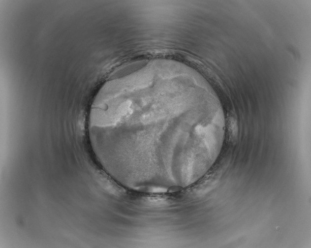 X0000111030668200907161326