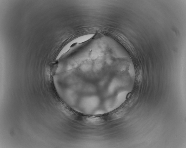 X0000111030669200907161326