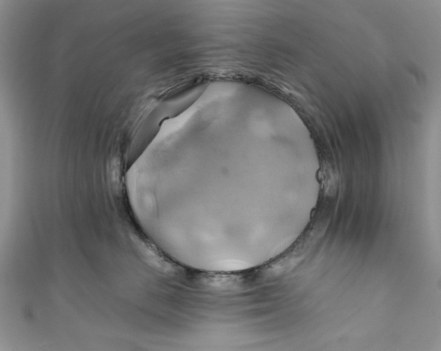 X0000111030670200907161326