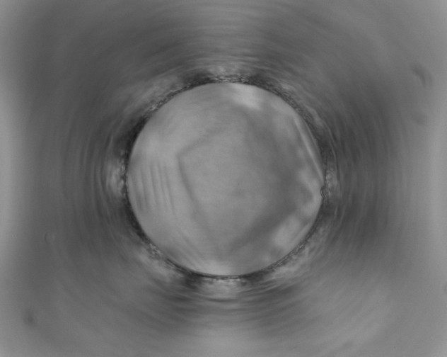 X0000111030671200907161326