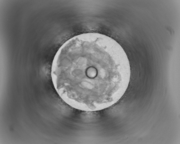 X0000111030672200907161326