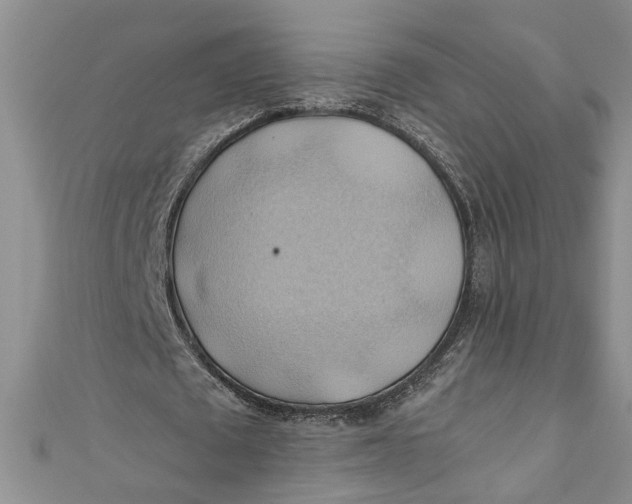 X0000111030673200907161325