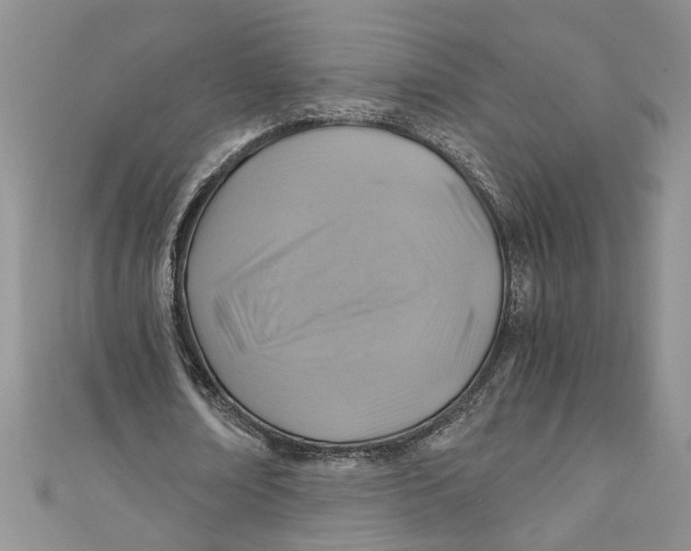 X0000111030674200907161325