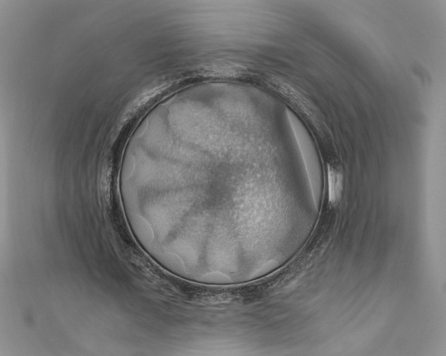 X0000111030675200907161325