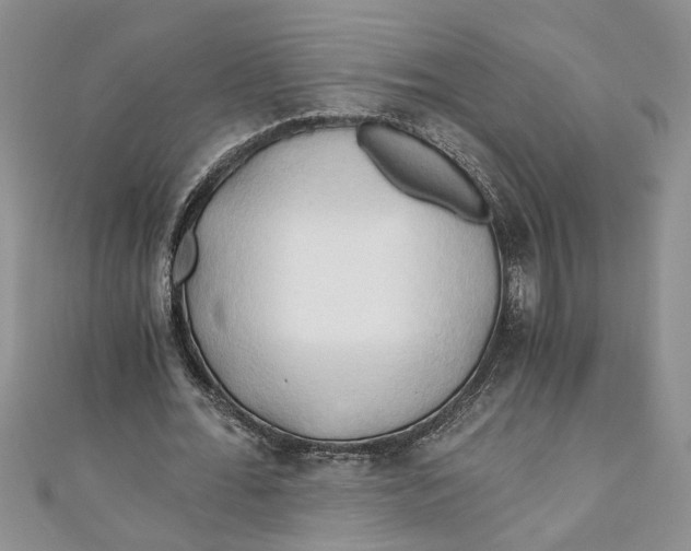 X0000111030676200907161325