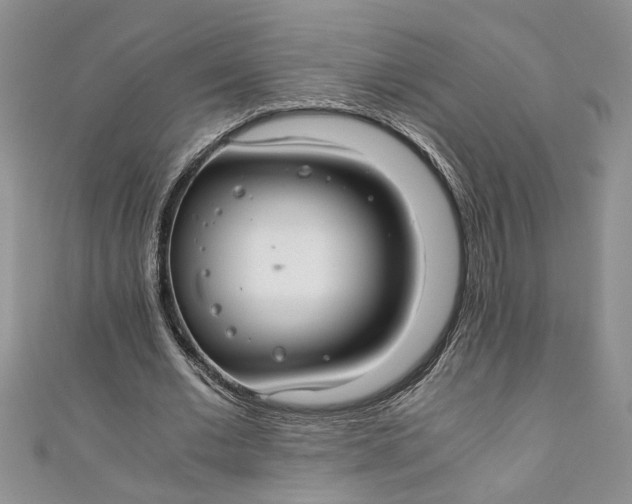 X0000111030677200907161325