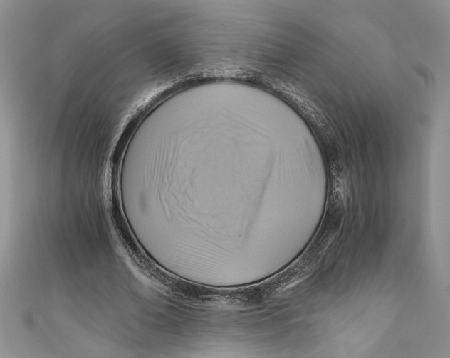 X0000111030678200907161325