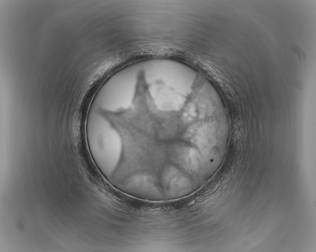 X0000111030679200907161325