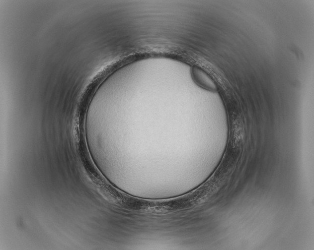 X0000111030680200907161325