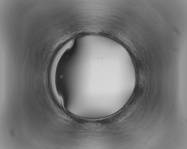 X0000111030681200907161325