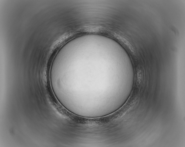 X0000111030682200907161325