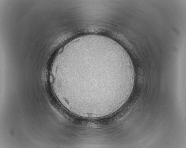 X0000111030683200907161325