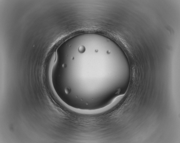 X0000111030684200907161325