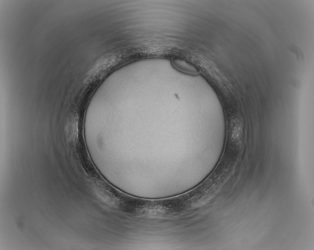 X0000111030685200907161325