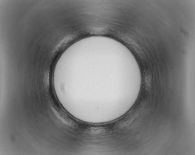 X0000111030686200907161325