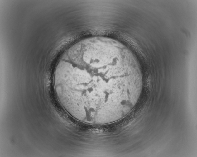 X0000111030687200907161325