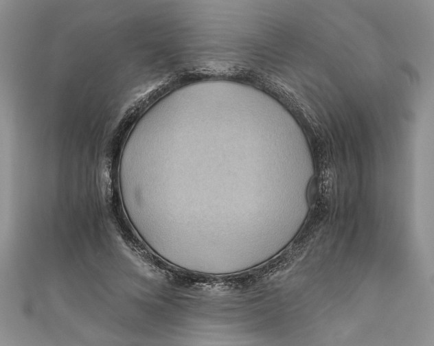 X0000111030688200907161325