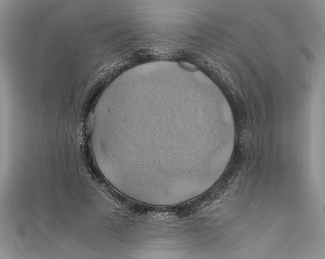 X0000111030689200907161325