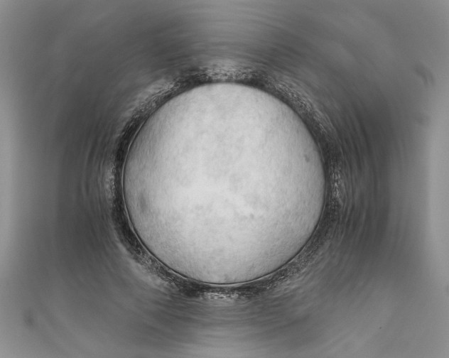 X0000111030690200907161325