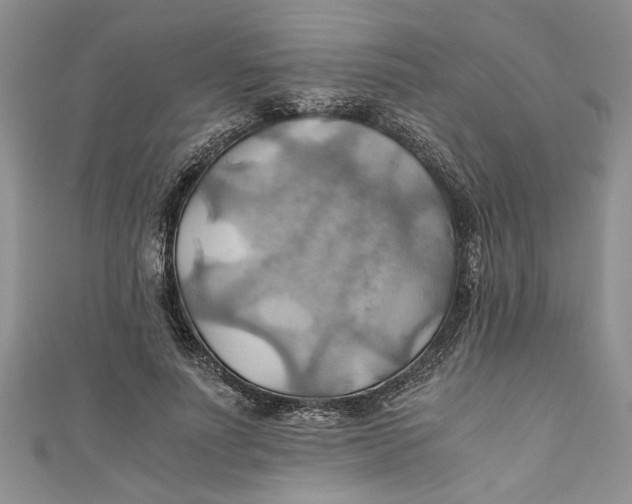 X0000111030691200907161325